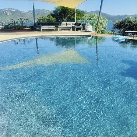 Puccinelli 维琪奥港