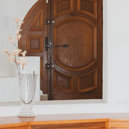 Puccinelli * 维琪奥港